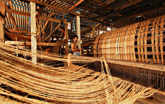 Awesome Video Gallery